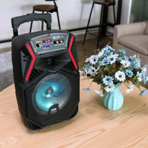 Portable USB Bluetooth Waterproof Tv Karaoke Music Speaker Outdoor 8/12 Inch Sound Audio System Home Cenima Built-in Microphone